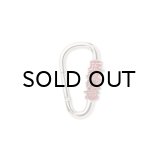 BLACK EYE PATCH (HWC CARABINER) SILVER
