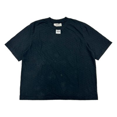 画像1: DAIRIKU (RIPLEY FANCY DOBBY H-S TAG TEE) BLACK
