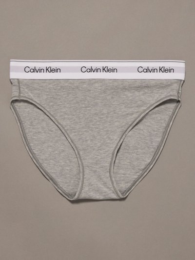 画像1: Calvin Klein (Icon Cotton Modal ハイウエストビキニショーツ) GRAY