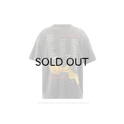画像2: SAINT Mxxxxxx (AS_SS T-SHIRT_AEROSMITH) BLACK