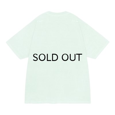 画像2: C.E (OVERDYE PARADIGM T) GREEN