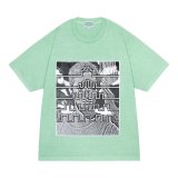 C.E (OVERDYE PARADIGM T) GREEN