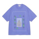 C.E (AS Dome BIG T) PURPLE