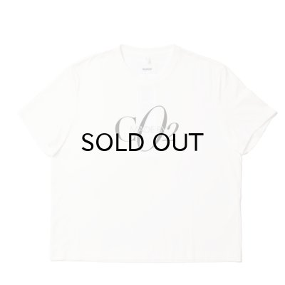 画像1: doublet (CO2 AIR YARN T-SHIRT) WHITE