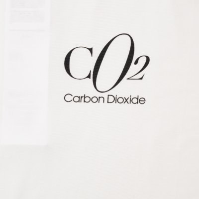 画像2: doublet (CO2 AIR YARN LONG SLEEVE T-SHIRT) WHITE