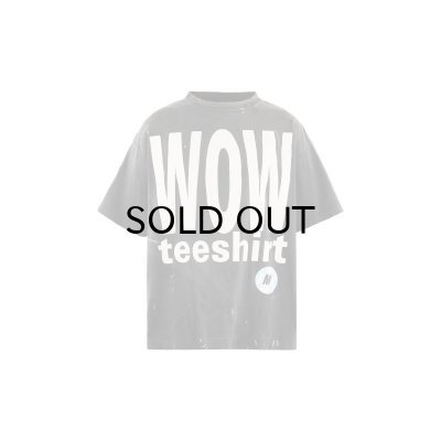 画像1: SAINT Mxxxxxx (SS T-SHIRT_WOW) BLACK