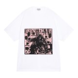 C.E (FK ComIdenteFinal T) WHITE