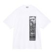 画像1: C.E (JUSTIFIABLE T) WHITE -30% OFF- (1)