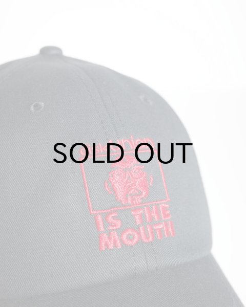 画像2: NISHIMOTO IS THE MOUTH (diskunion CAP) BLACK (2)