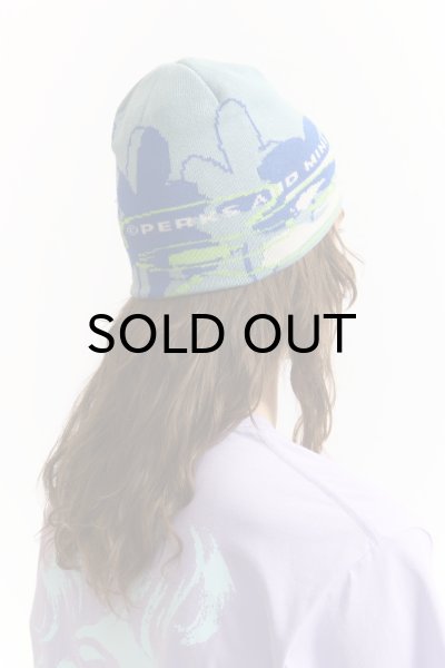 画像2: P.A.M. (BRICK BY BRICK BEANIE) DUCK EGG (2)