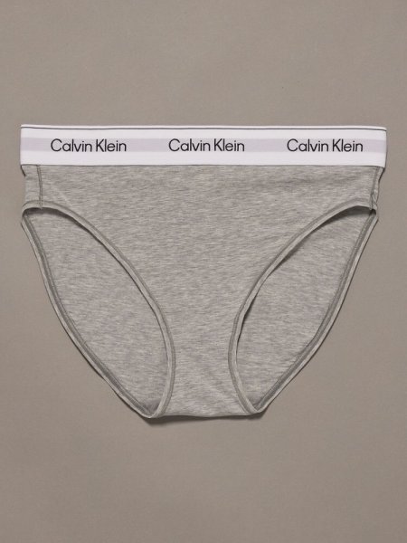 画像1: Calvin Klein (Icon Cotton Modal ハイウエストビキニショーツ) GRAY (1)