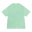 画像2: C.E (OVERDYE PARADIGM T) GREEN (2)