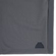 画像3: C.E (PE JERSEY SHORTS) CHARCOAL (3)