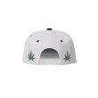 画像2: BLACK EYE PATCH (LONGLIVE BEP SNAPBACK CAP) WHITE (2)
