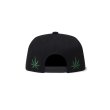 画像2: BLACK EYE PATCH (LONGLIVE BEP SNAPBACK CAP) BLACK (2)