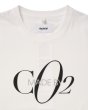 画像2: doublet (CO2 AIR YARN T-SHIRT) WHITE (2)