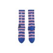 画像2: SAINT Mxxxxxx (SOCKS_BORDER) BLUE-PINK (2)